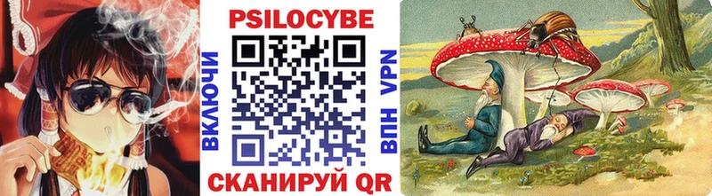 Галлюциногенные грибы Psilocybine cubensis  что такое   Новосиль 