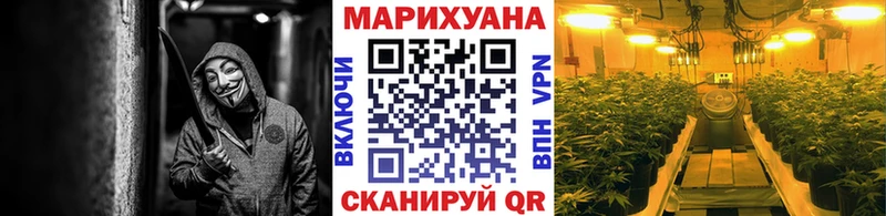 Каннабис планчик  где купить наркоту  Новосиль 