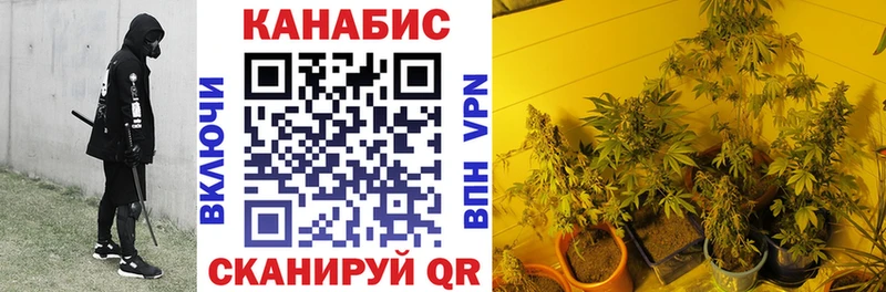Конопля семена Новосиль